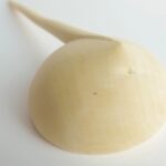 Holzlöffel groß aus Zitronenholz - 'Beldi'-3359