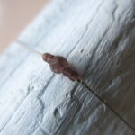 Feines Armband mit Edelsteinen und Silberdetail – Bild 3